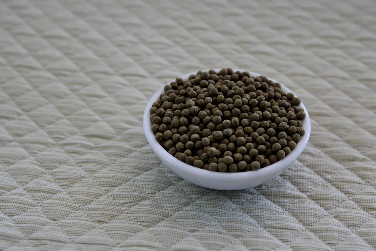 Pill, chinese medicine, bitter pill — illustrating Am I a GLP-1 Non-Responder? How to Tell