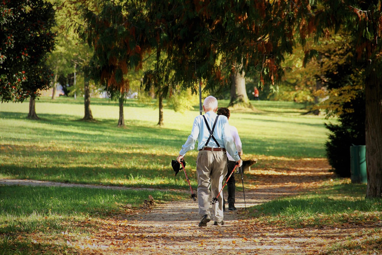 An older adult nordic walking with poles through a park on a sunny autumn day, surrounded by golden fallen leaves