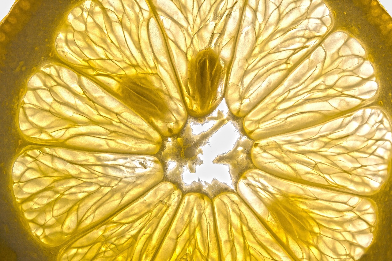 Lemon, vitamins, meal — illustrating Are GLP-1s Safe Long-Term?