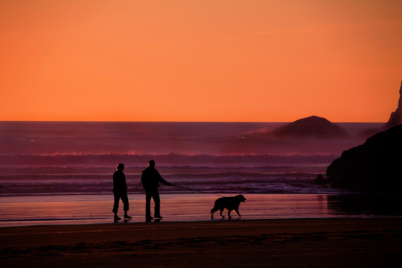 Grandparents, walking the dog, dog — illustrating ASCVD 10-Year Cardiovascular Risk, Explained