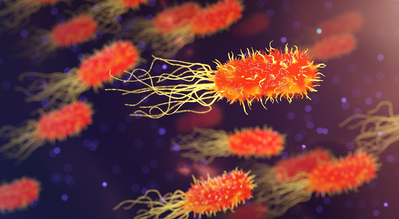 Close-up of bacterial and cell cultures viewed through scientific imaging, representing early-stage cell-culture research