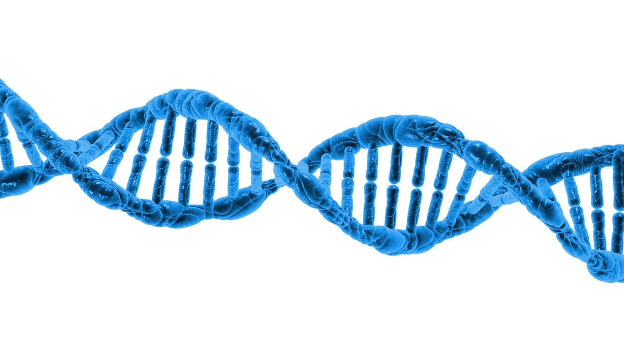 3D render of a DNA double helix representing the epigenetic clocks used to measure biological aging