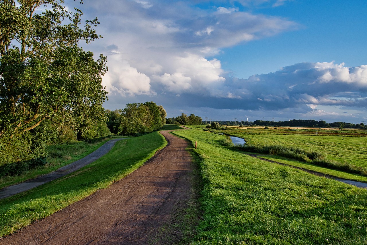 Path, grass, dike — illustrating Creatine for Brain and Cognitive Aging