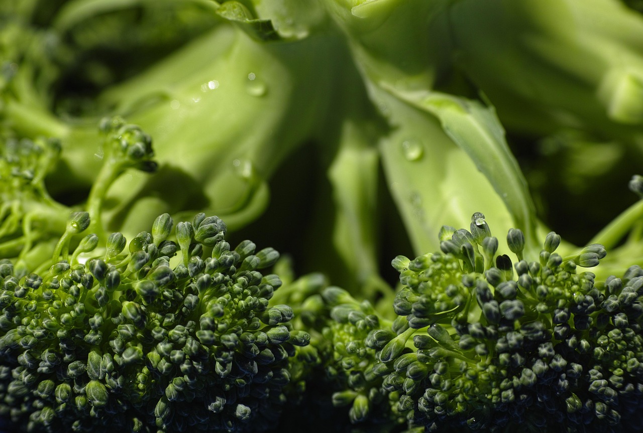 Broccoli, organic, food — illustrating FFMI Explained: Muscle Mass and the Natural Limit