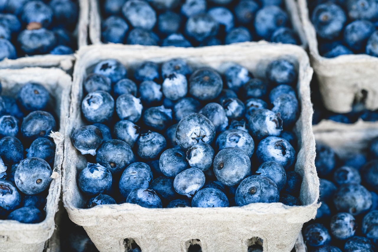Blueberries, bunch, berries — illustrating Fiber and Lifespan: The Underrated Longevity Lever