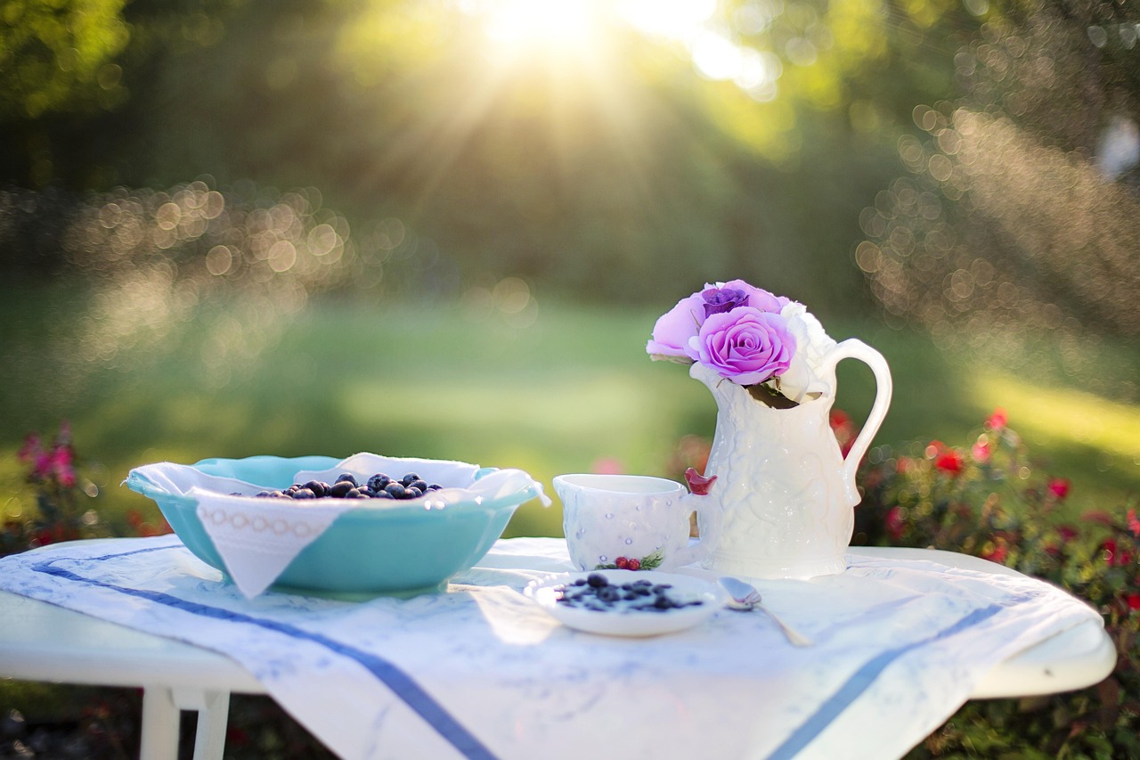 Blueberry, breakfast, sunlight — illustrating Fiber and Lifespan: The Underrated Longevity Lever
