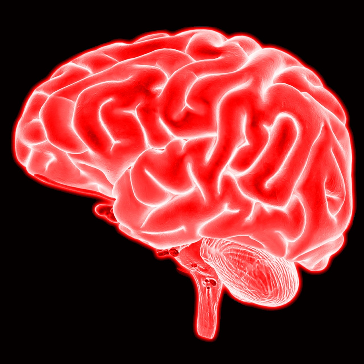 Brain, mind, neuroscience — illustrating GLP-1 Receptor Agonists in the Brain: Appetite and Beyond