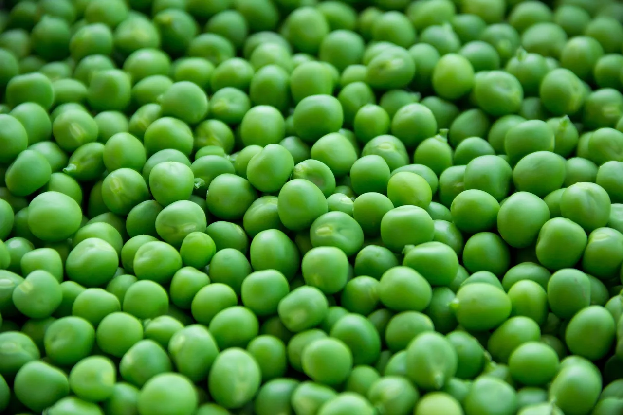 Peas, vegetables, green — illustrating GLP-1s and 'Food Noise': The Science of Reduced Cravings