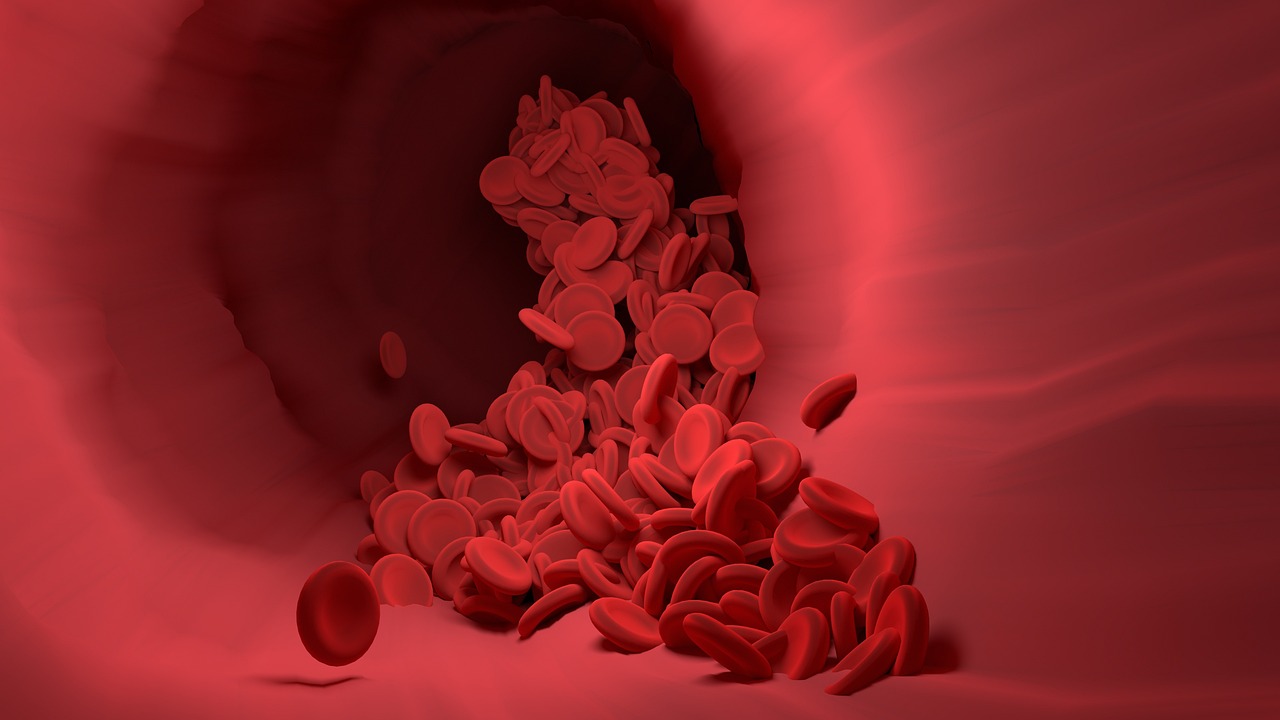 Red blood cells, blood vessel, blood flow — illustrating GLP-1s and PCOS: What the Research Shows