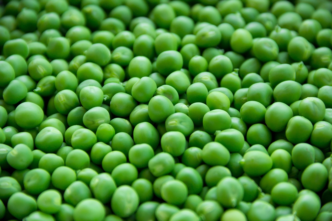 Peas, vegetables, green — illustrating GLP-1s in Adolescents: The Evidence and the Debate