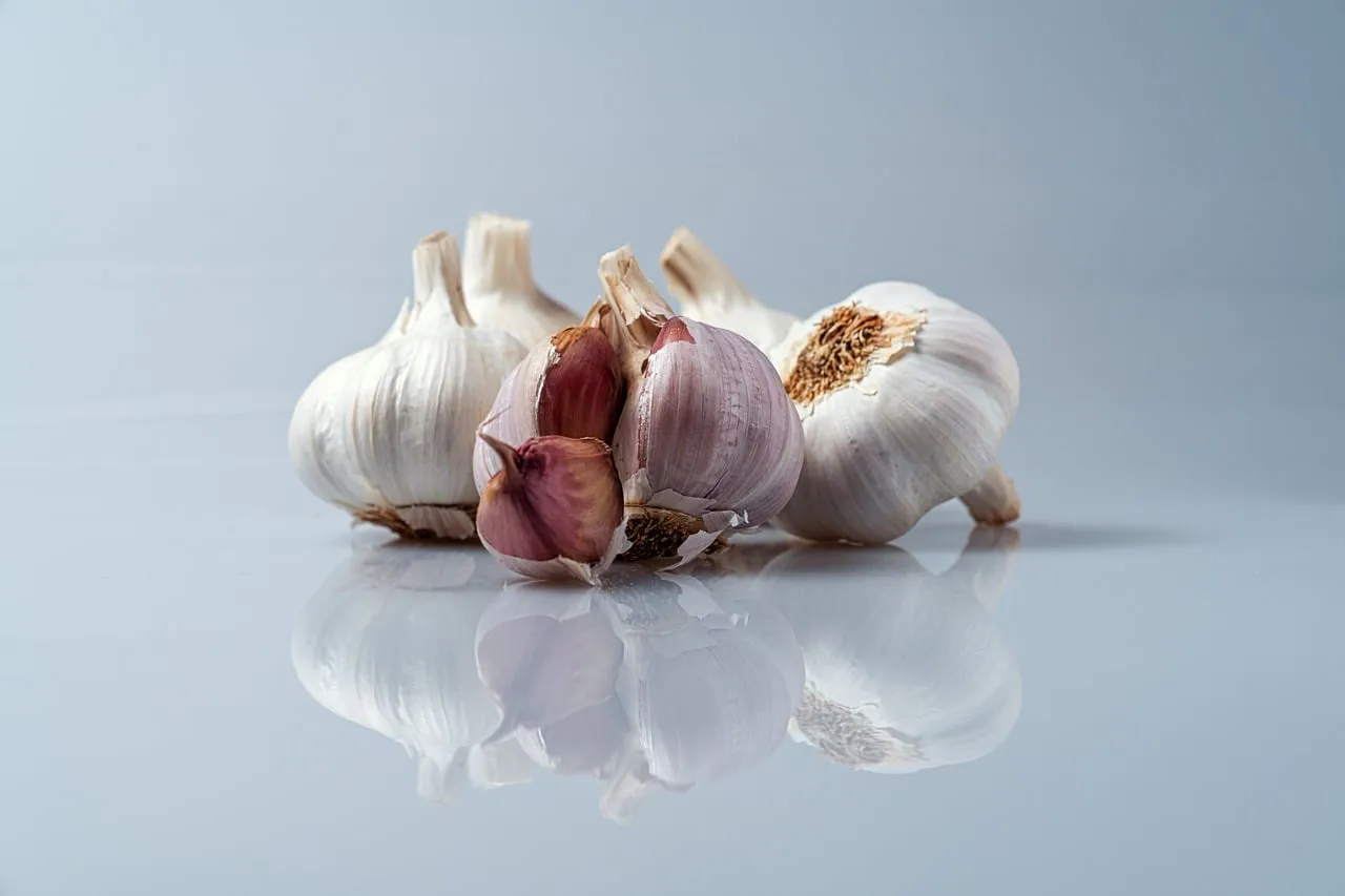 Garlic, healthy, food — illustrating GLP-1s in Pregnancy and Before Conception