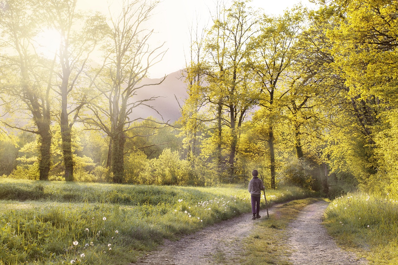 Path, walk, field — illustrating Glucosamine and Mortality: The Surprising Signal