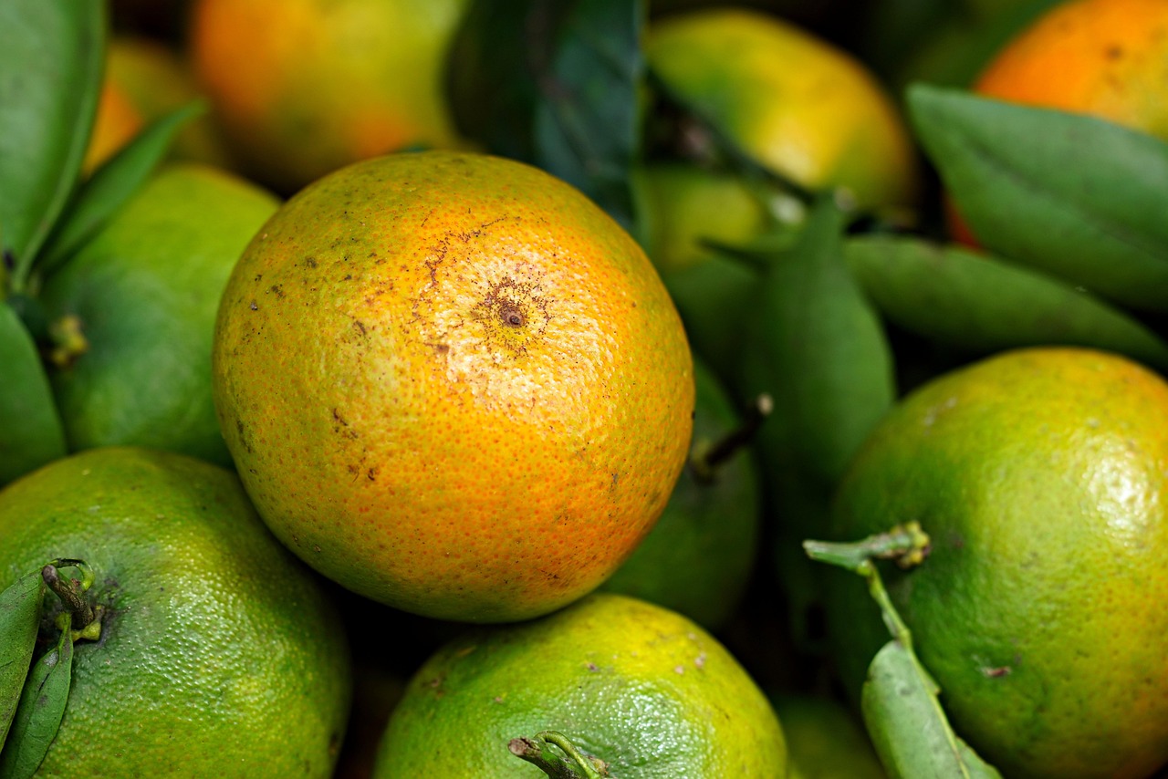 Tangerine, citrus, fruit — illustrating How Big Should Your Calorie Deficit Be?