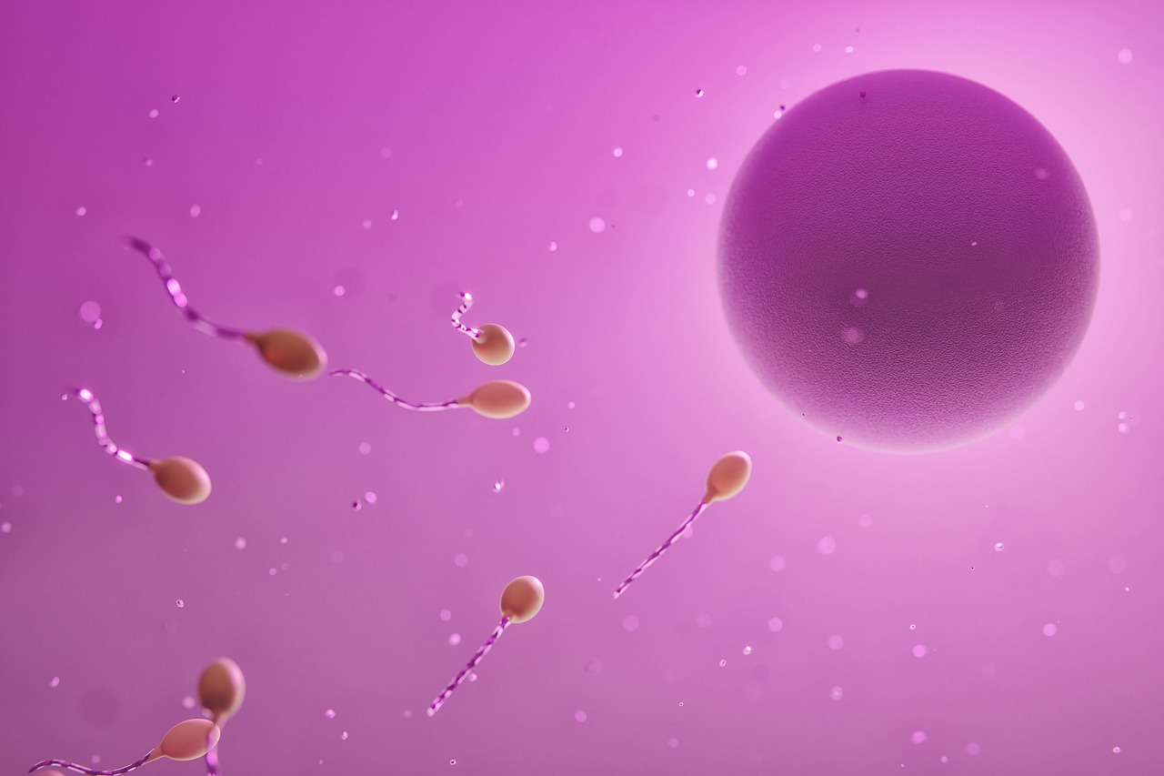 Ovum, sperm, fertilization — illustrating How Many Units Is 250 mcg of Peptide? (It Depends on Concentration)