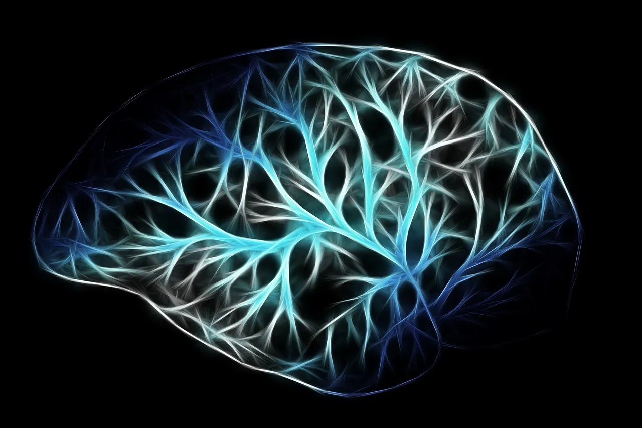 Brain, biology, anatomy — illustrating Humanin: A Mitochondrial-Derived Peptide Worth Watching