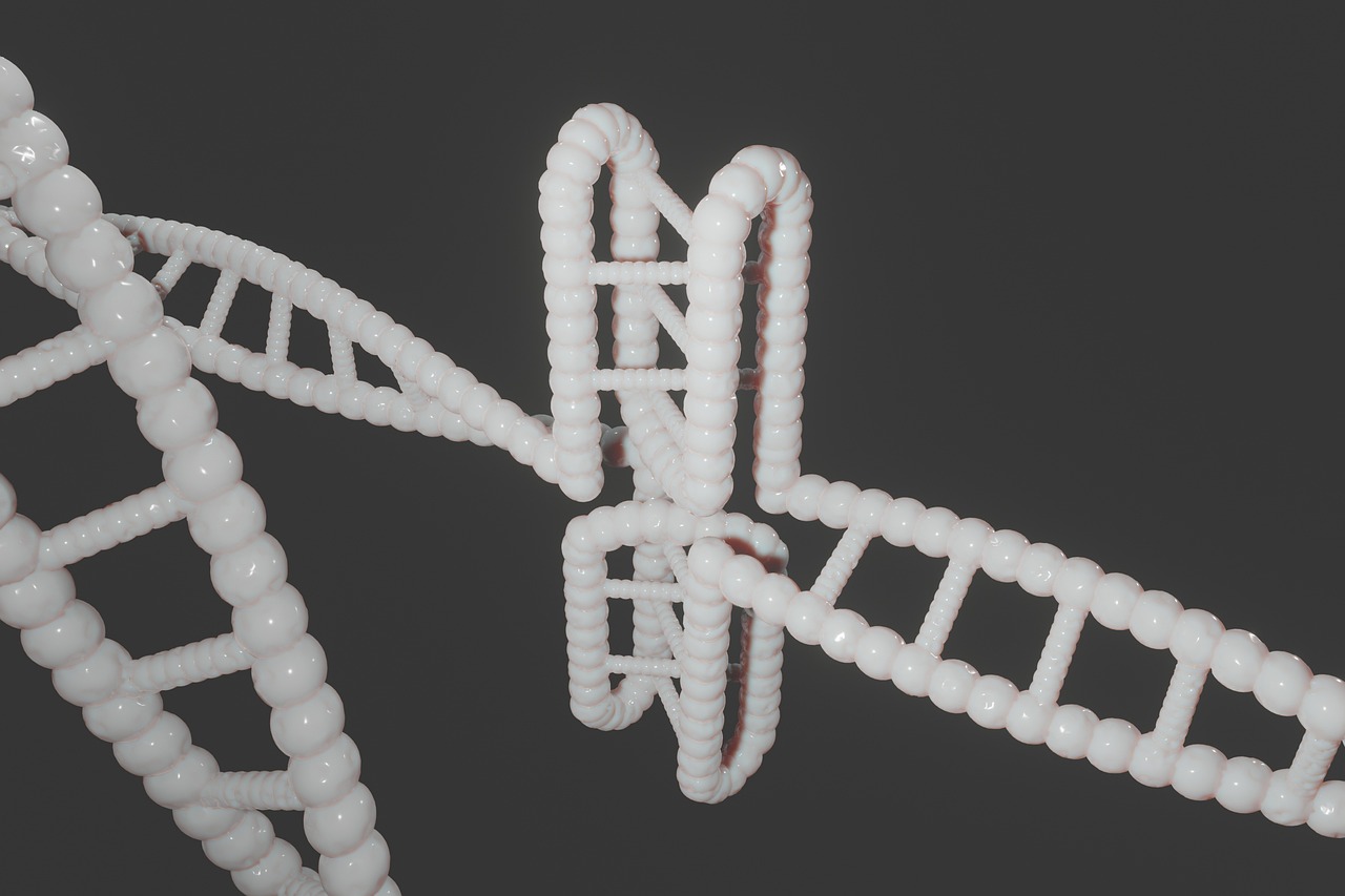 Human, dna, genetic — illustrating IGF-1 LR3 and PEG-MGF: The Muscle-Building Peptides and Their Risks