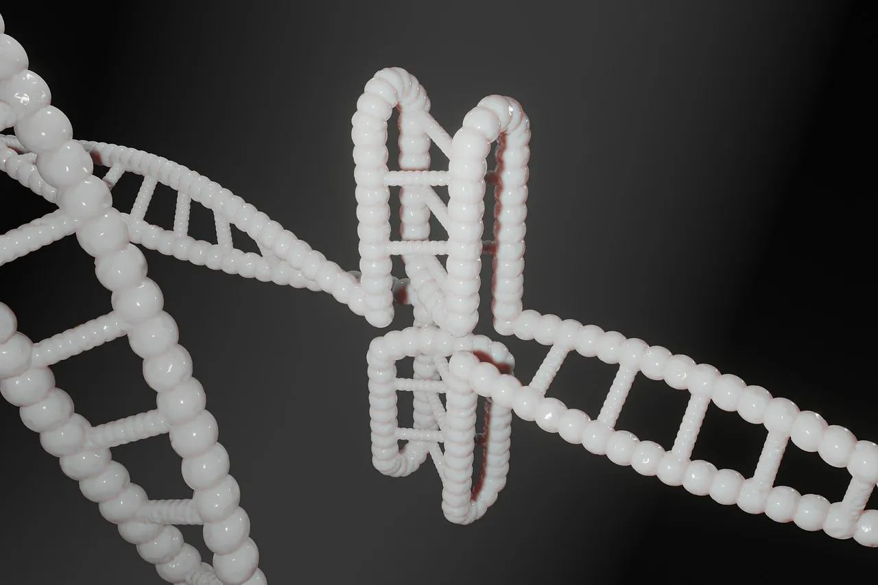 IGF-1 LR3 and PEG-MGF: The Muscle-Building Peptides and Their Risks