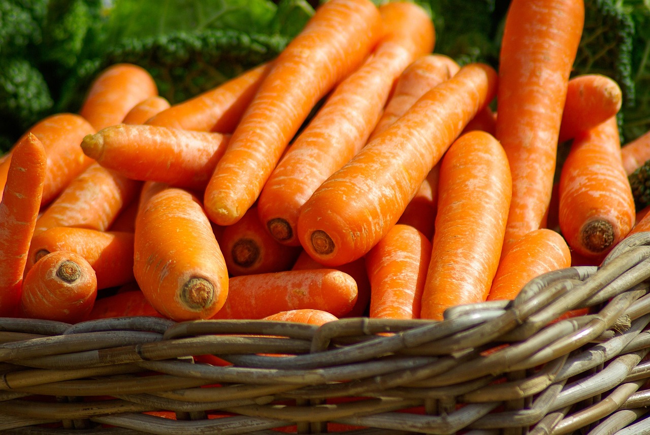 Carrots, basket, vegetables — illustrating Managing GLP-1 Nausea: What the Evidence Suggests