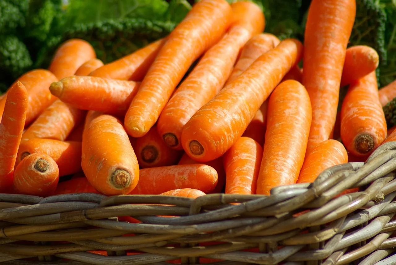 Carrots, basket, vegetables — illustrating Managing GLP-1 Nausea: What the Evidence Suggests