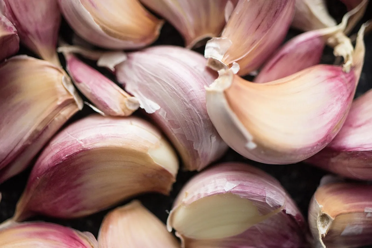 Garlic, clove, raw — illustrating Managing GLP-1 Nausea: What the Evidence Suggests