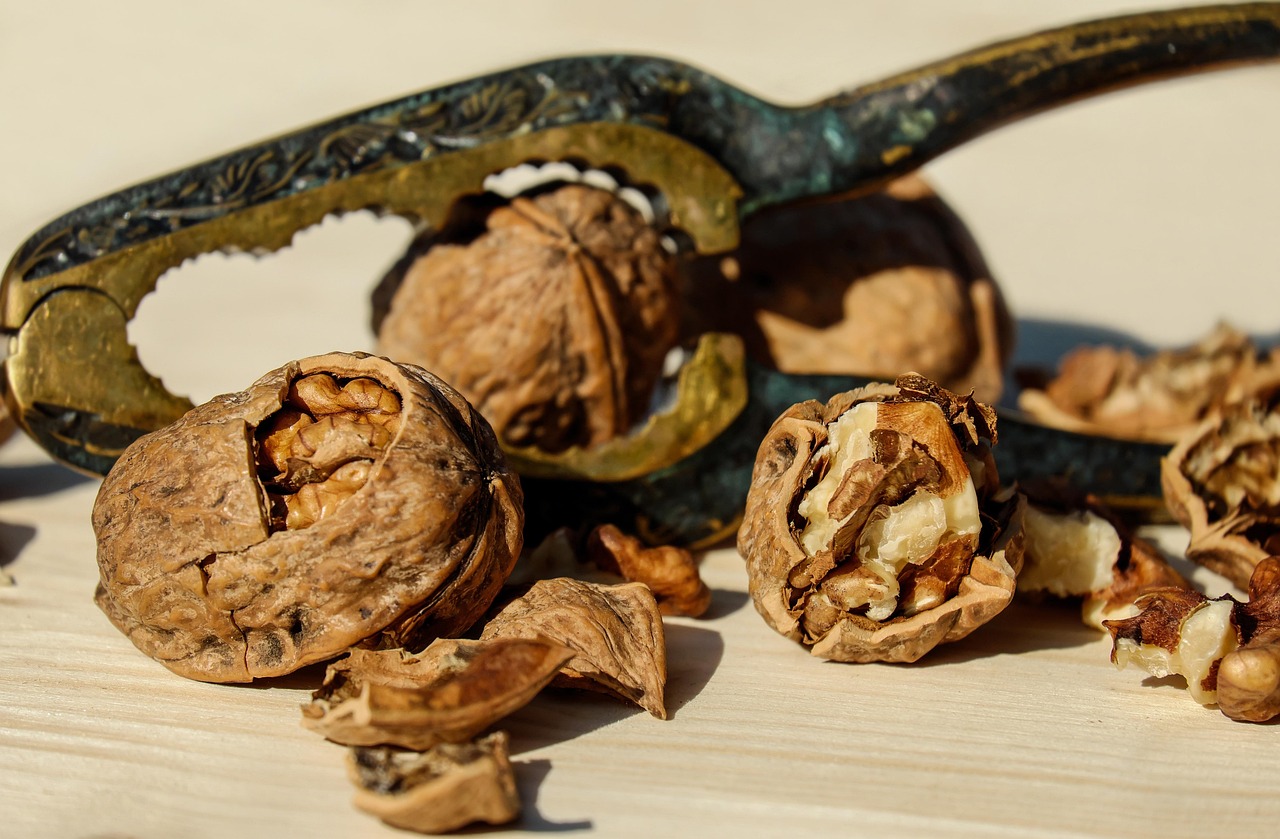 Walnut, nut, brown — illustrating Ozempic vs Mounjaro: Which and For Whom
