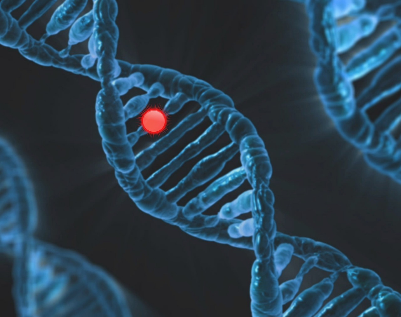 Dna, genetics, mutation — illustrating Peptide Cycling: What the Protocols Claim vs What Is Known
