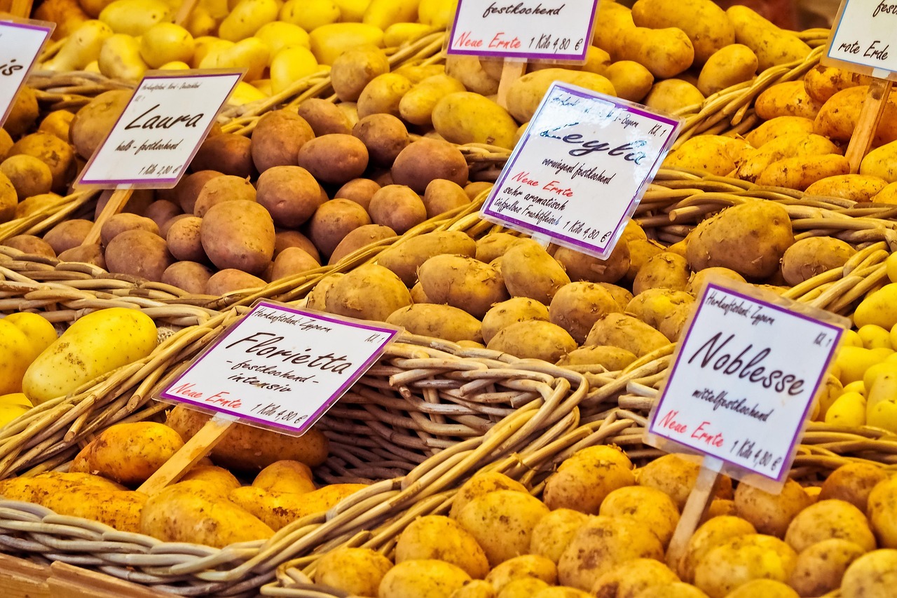 Potatoes, vegetable, market — illustrating Rapamycin vs Metformin: The Two Longevity Drugs Compared