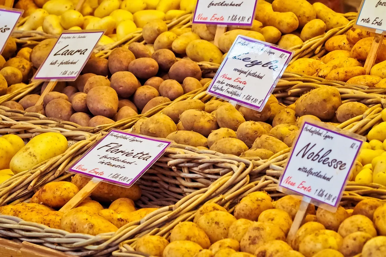 Potatoes, vegetable, market — illustrating Rapamycin vs Metformin: The Two Longevity Drugs Compared