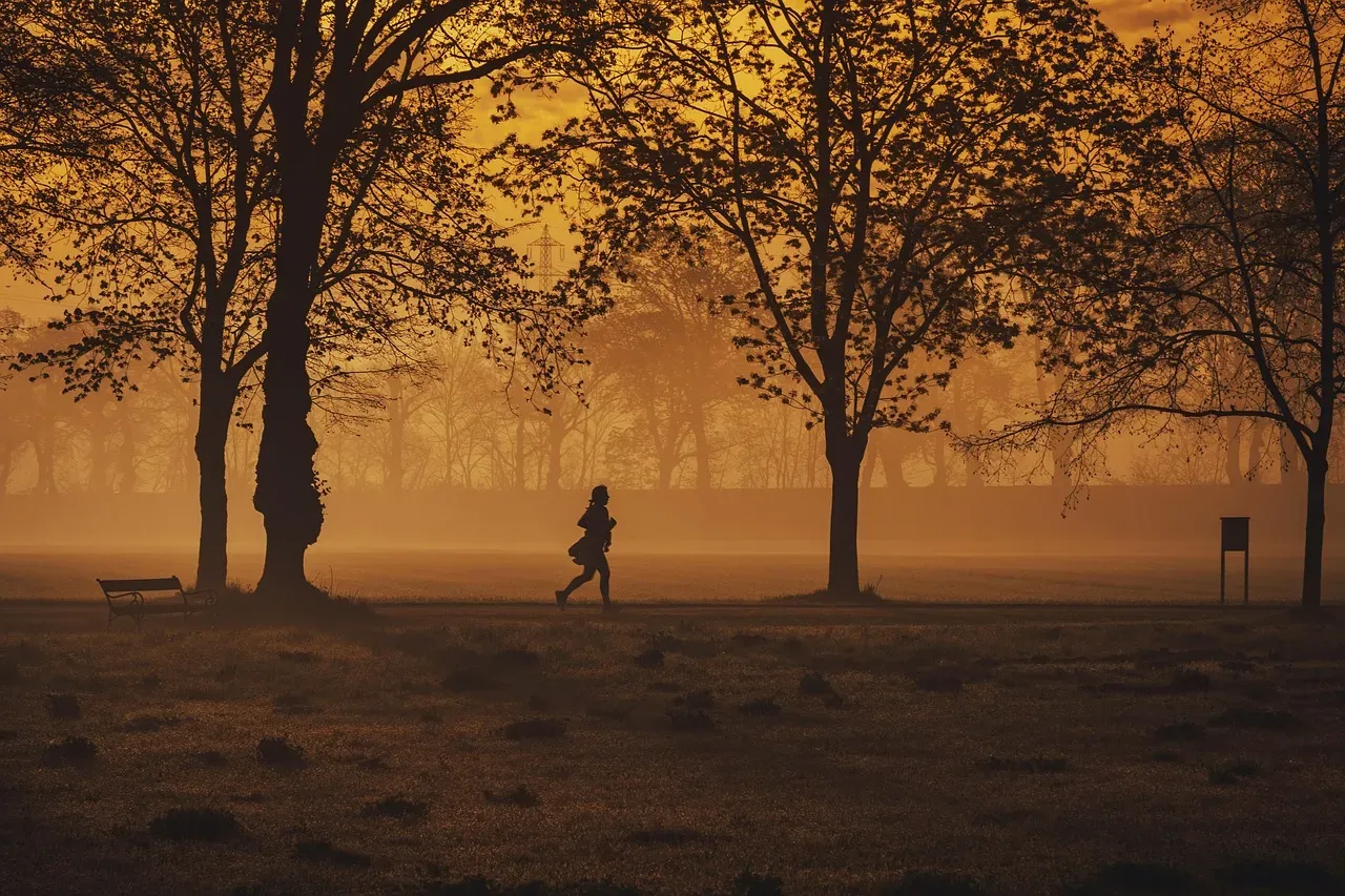 Jogger, trees, park — illustrating Resting Heart Rate as a Recovery Signal