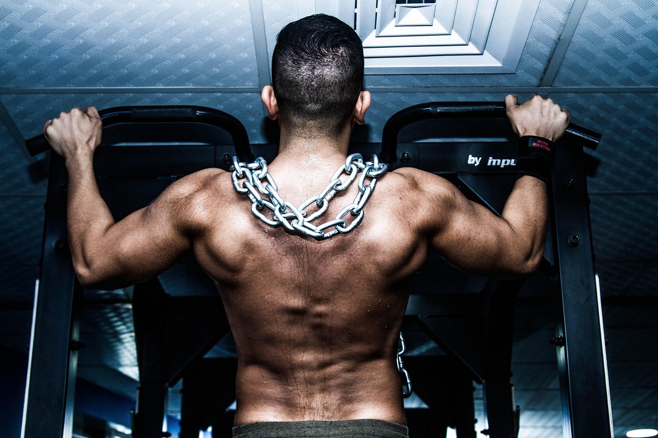 Muscle, gym, training — illustrating Sarcopenia: Fighting Age-Related Muscle Loss