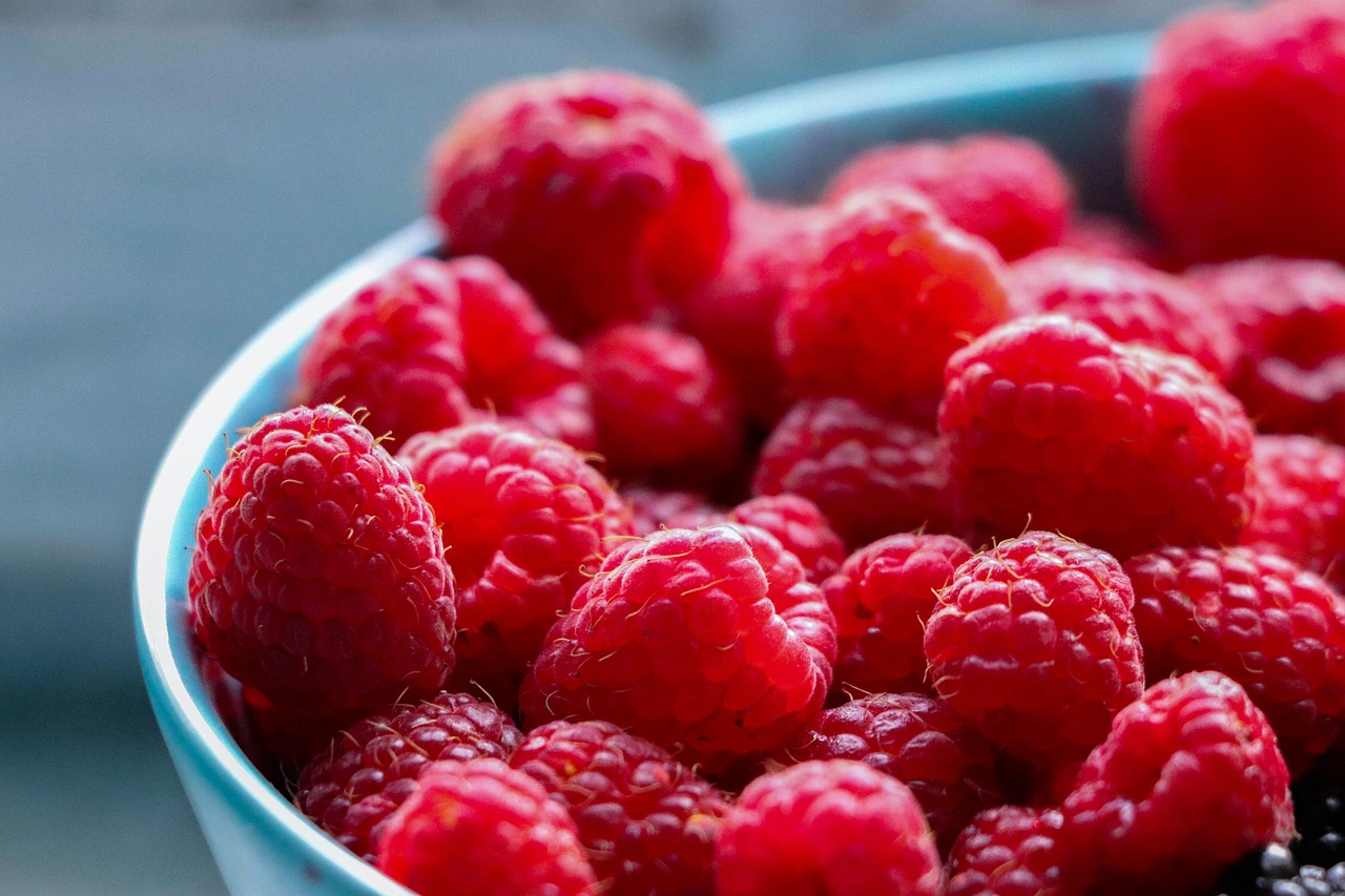 Berry, fruit, healthy — illustrating Semaglutide Weight Loss by Month: What the Trial Data Actually Shows