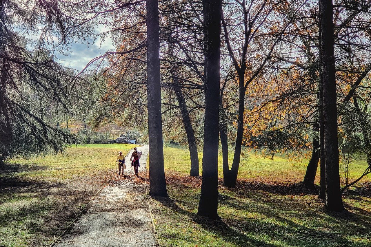 Autumn walk, nordic walking, forest path — illustrating Stem Cells and Aging: Hype vs Reality