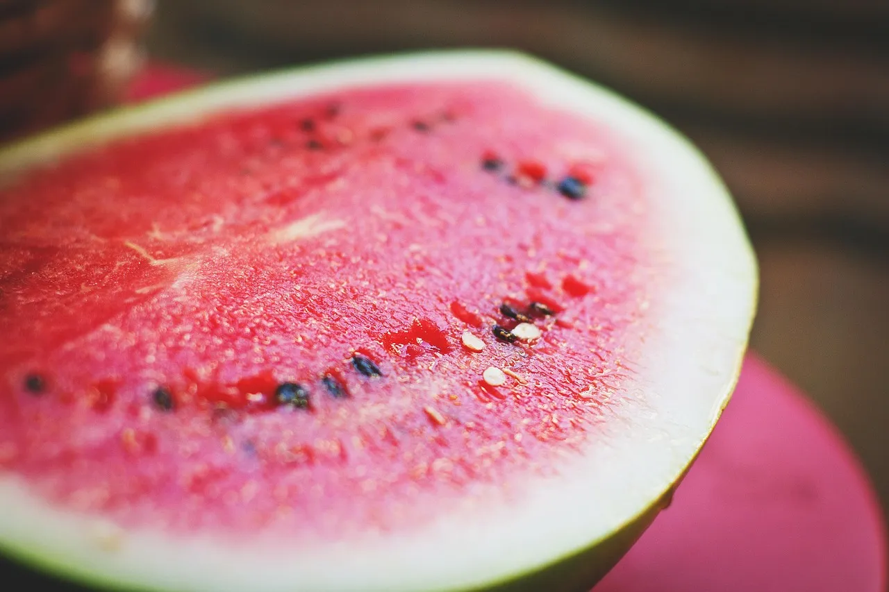 Watermelon, melon, colorful — illustrating Survodutide and the GLP-1/Glucagon Approach