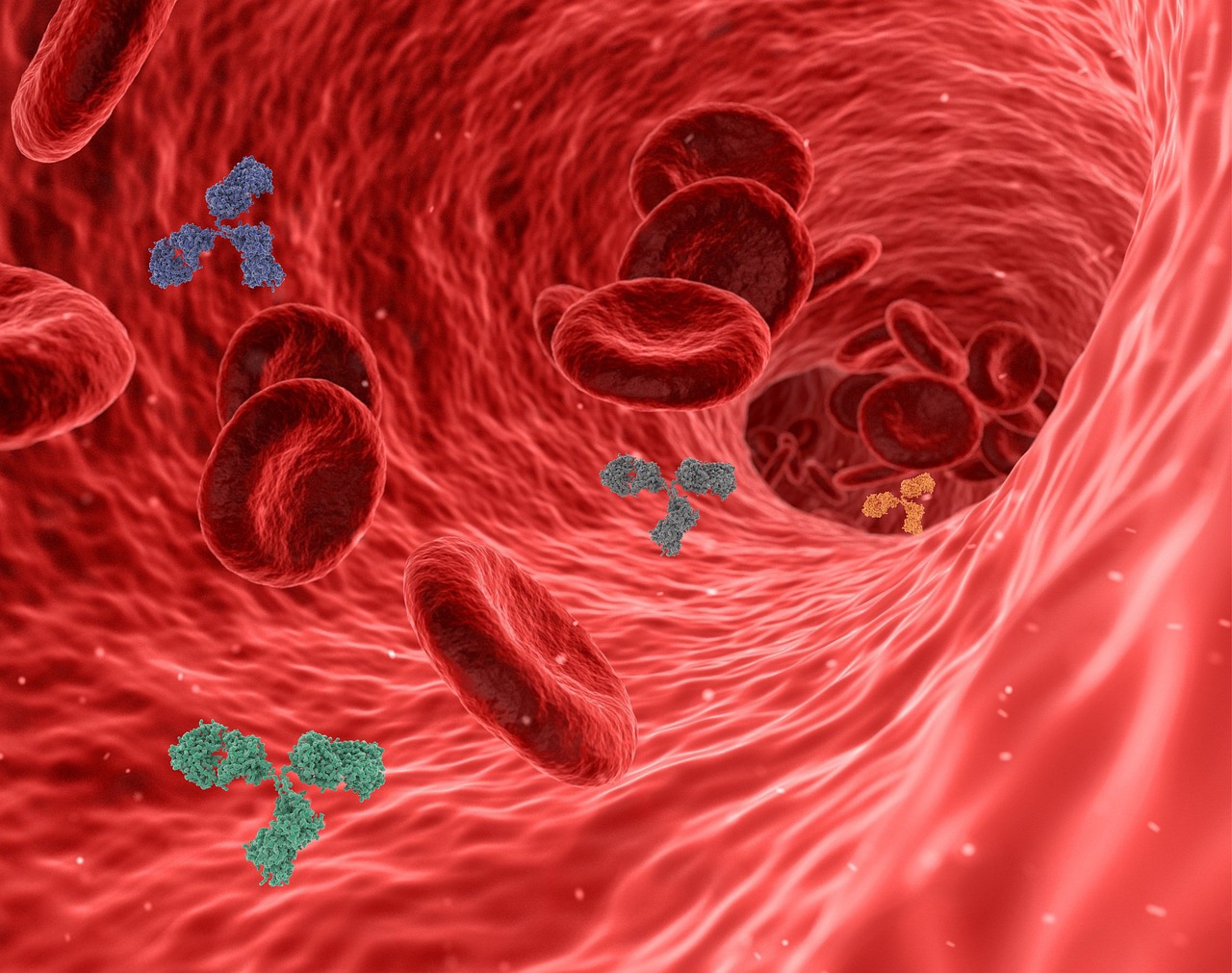 Virus, pathogen, antibody — illustrating Telomeres and Aging: What They Do and Don’t Tell Us