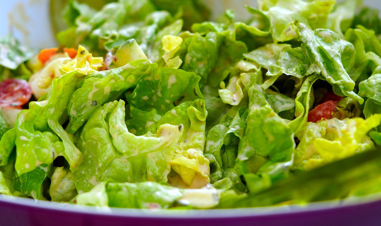 Salad, vegetable salad, vegan — illustrating The Blueprint Protocol: A Skeptical Look