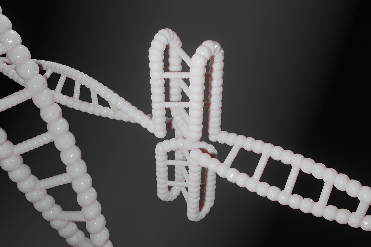Human, dna, genetic — illustrating The Epigenetics of Lifestyle