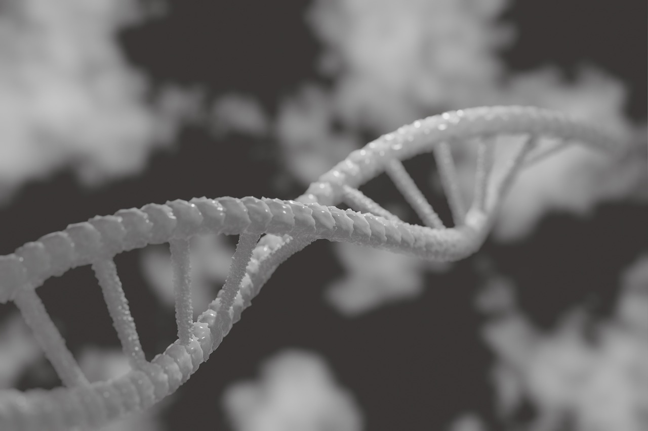 Dna, 3d, biology — illustrating The Epigenetics of Lifestyle