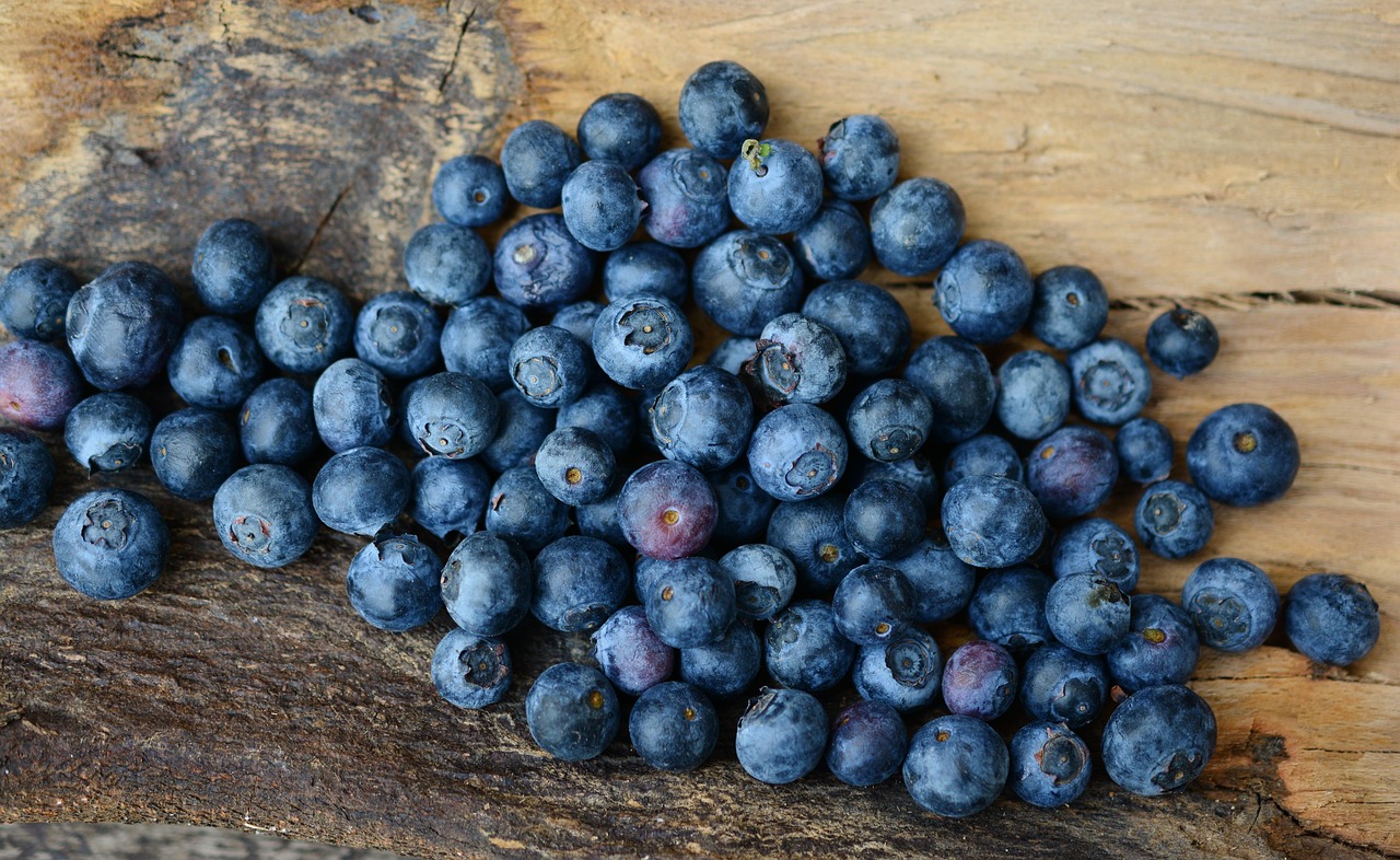 Blueberries, berries, fruits — illustrating The GLP-1 Weight-Loss Plateau, Explained