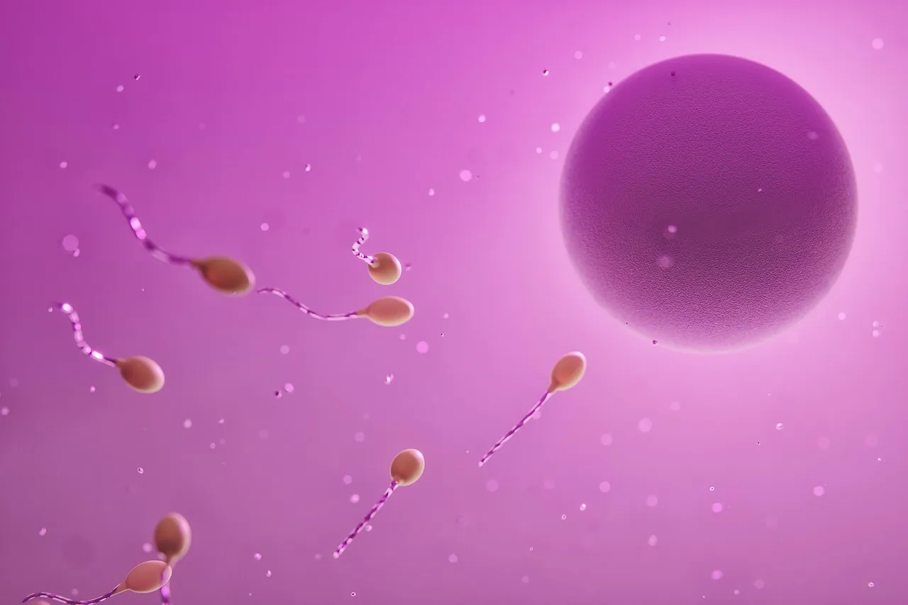 The Hallmarks of Aging, Explained