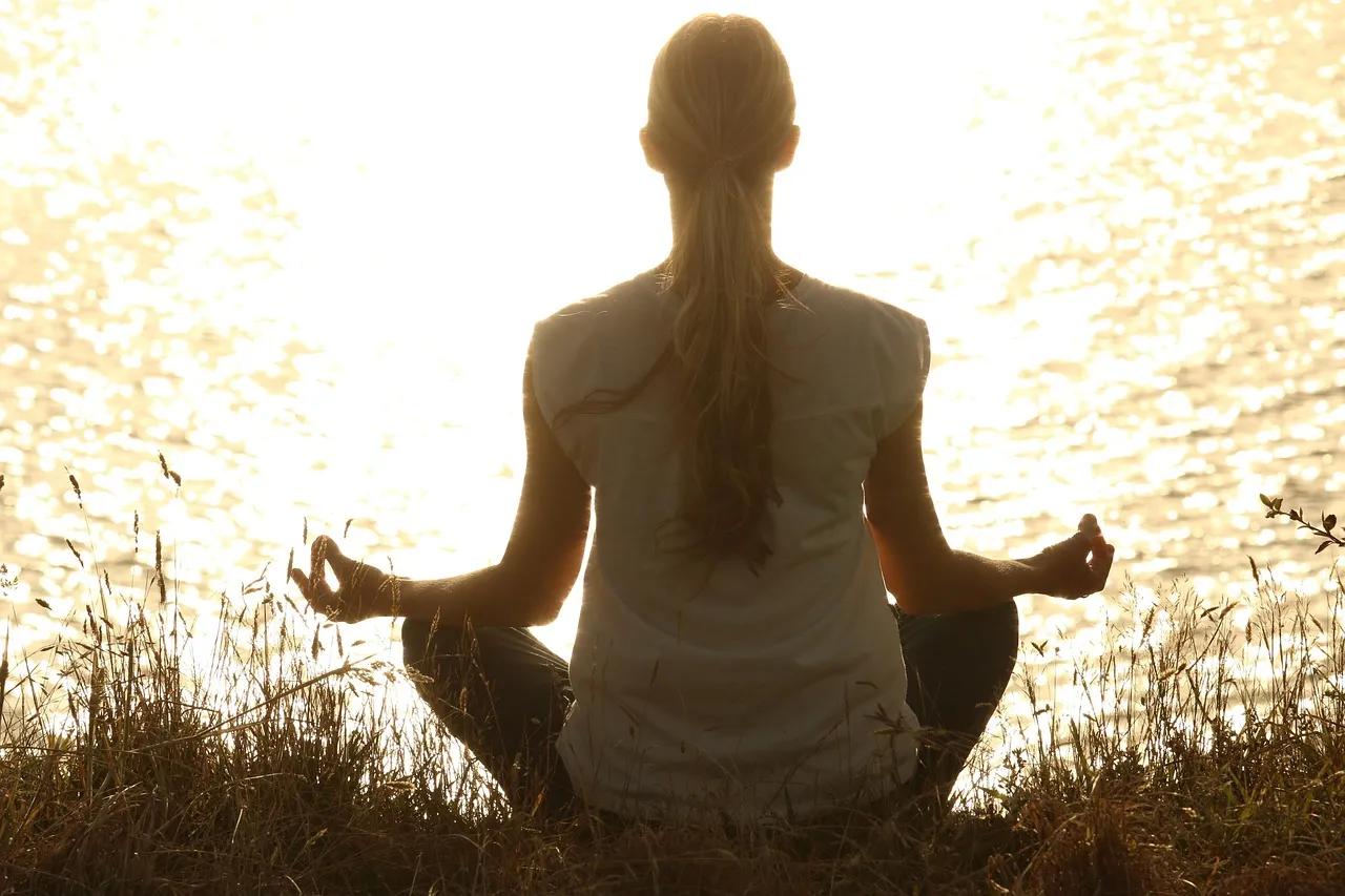The Recovery Cost of Chronic Stress