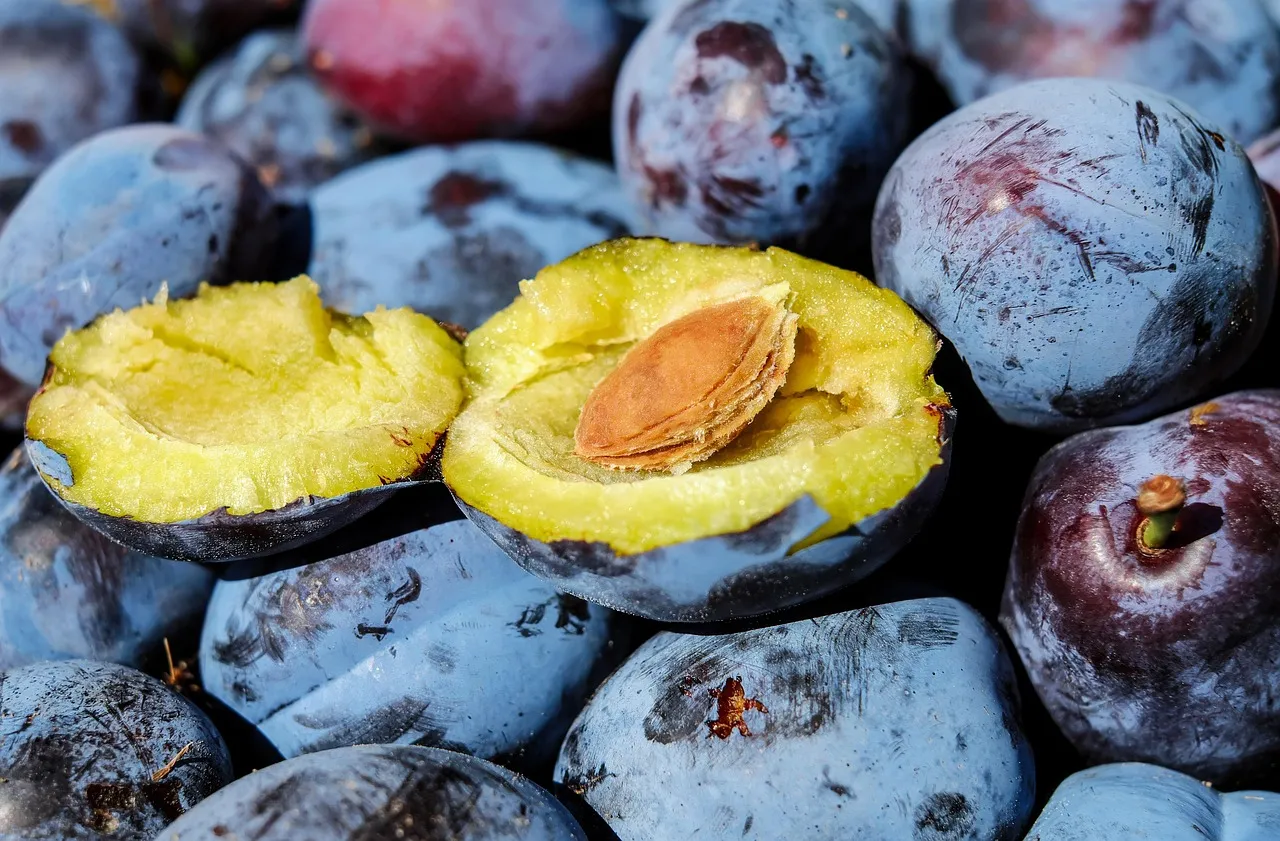 Plum, plum stone, fruit — illustrating Waist Circumference vs Weight: The Better GLP-1 Metric