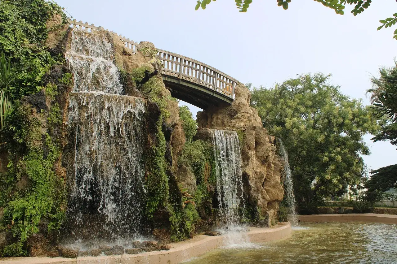Park genoves, cadiz, natural environment — illustrating What Your PhenoAge Score Actually Means