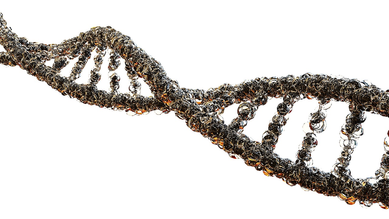 Gout, biology, dna strand — illustrating Zone 2 and Mitochondrial Health