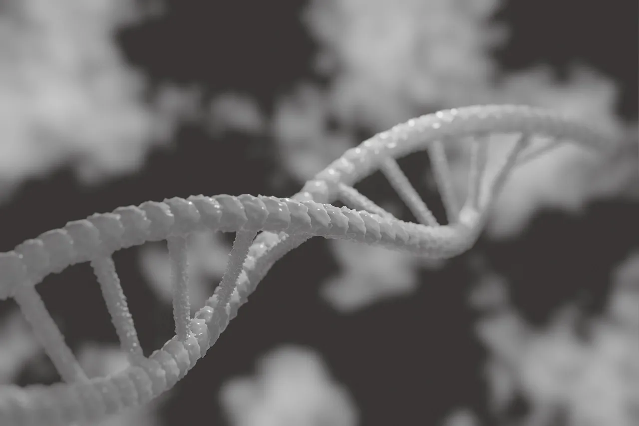 Zone 2 and Mitochondrial Health
