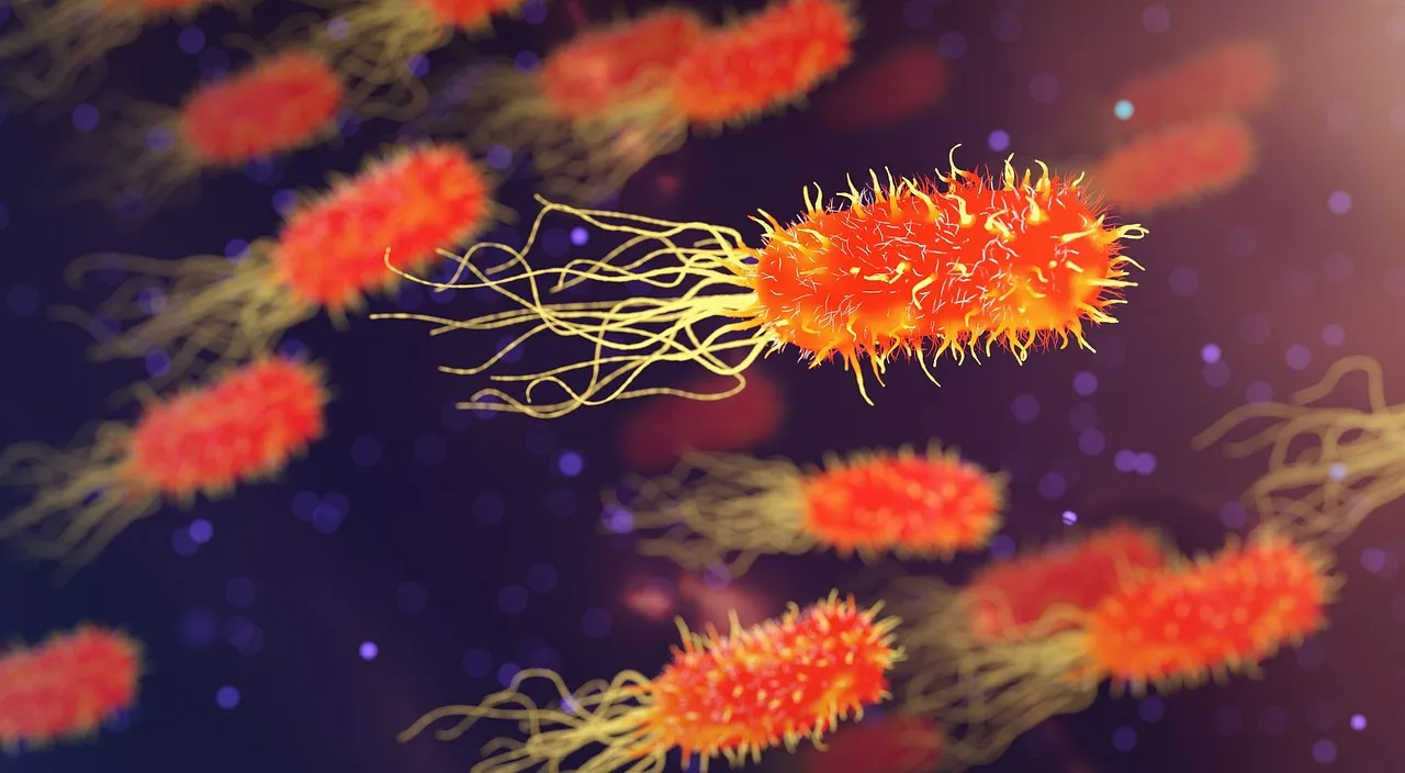 The Beginner's Guide to Peptides