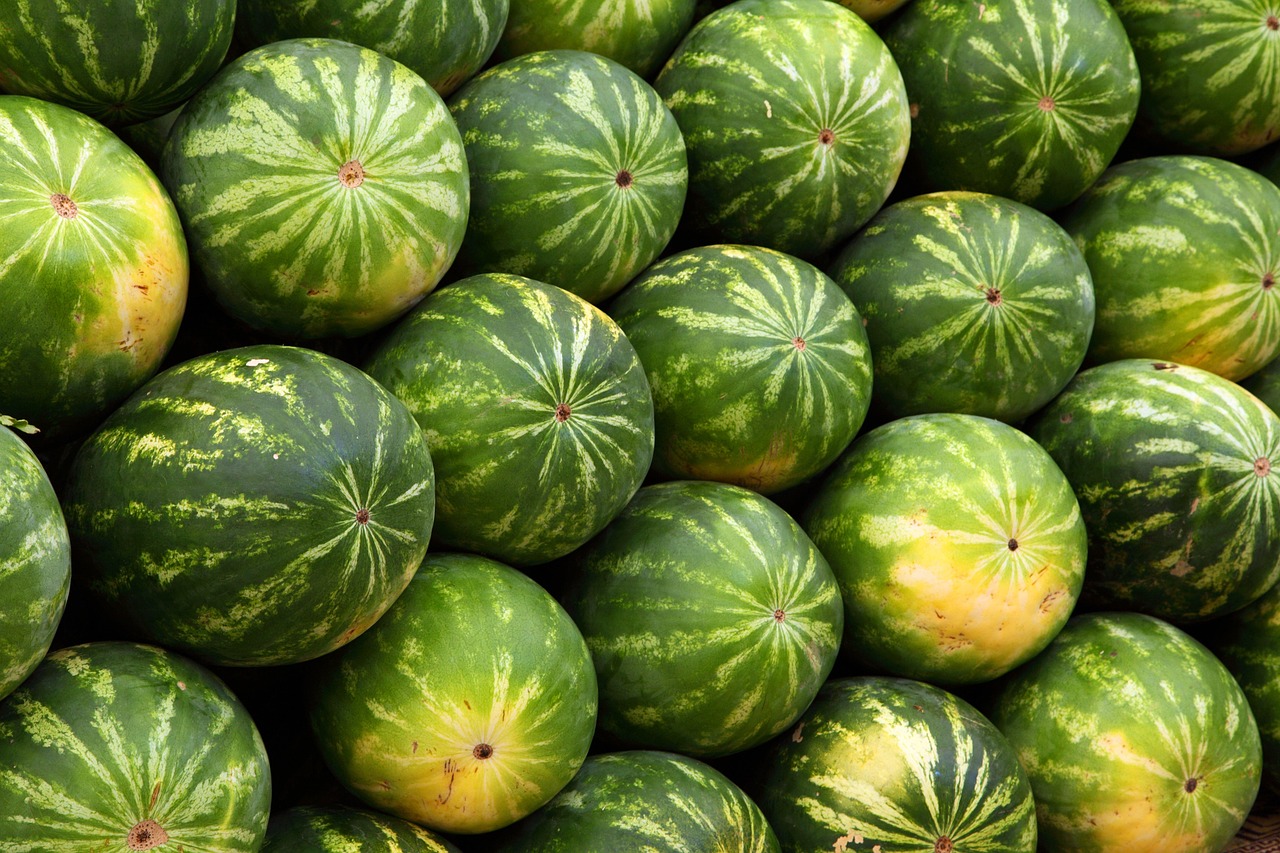 Watermelons, fruits, wallpaper 4k — illustrating The GLP-1 Brand Guide: Ozempic, Wegovy, Mounjaro & Zepbound