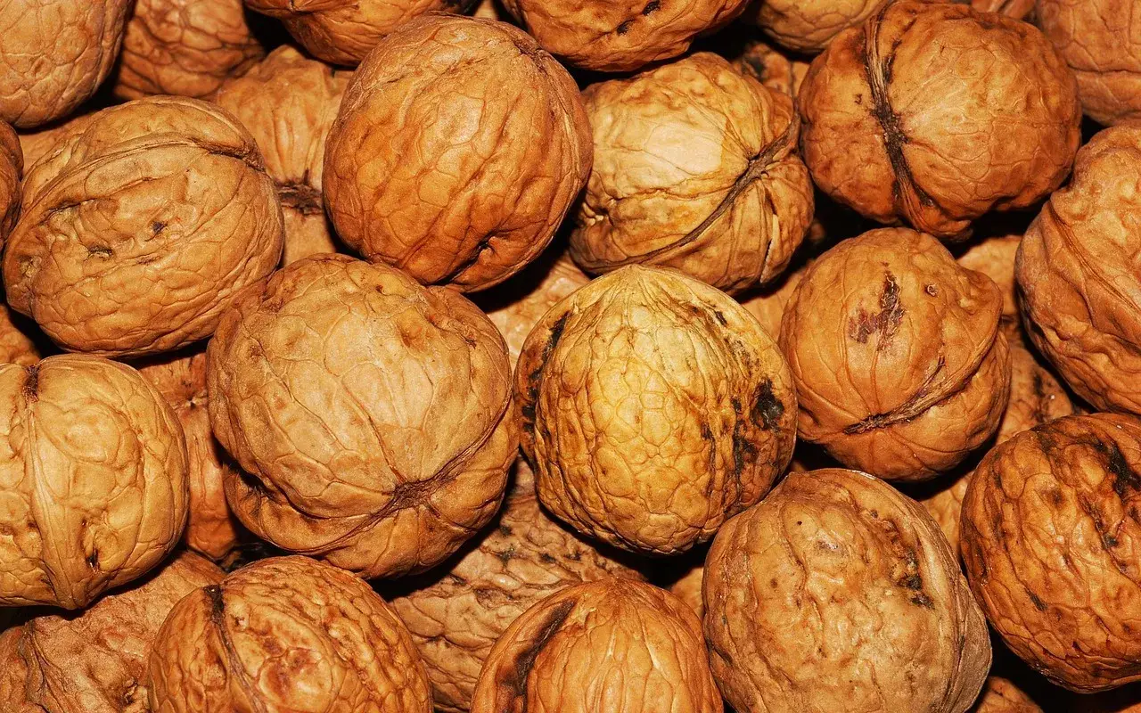 Walnuts, nuts, food — illustrating The GLP-1 Side-Effect Survival Guide